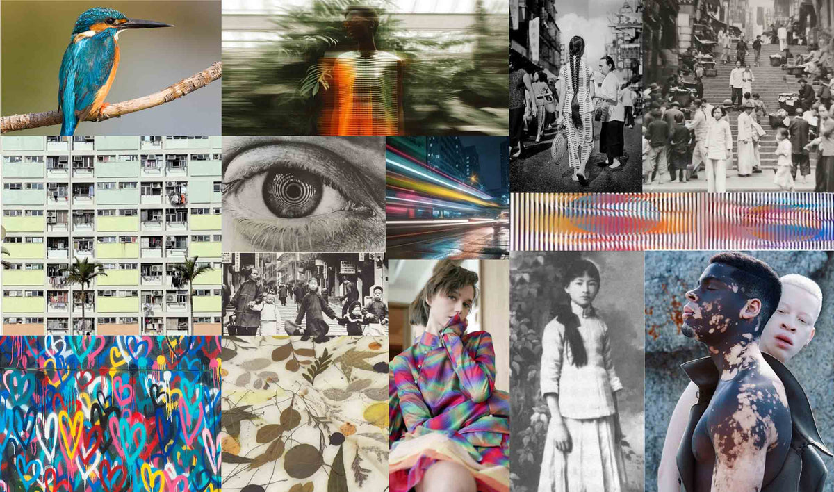 112 mountainyam — The Joy of Feathers inspiration moodboard