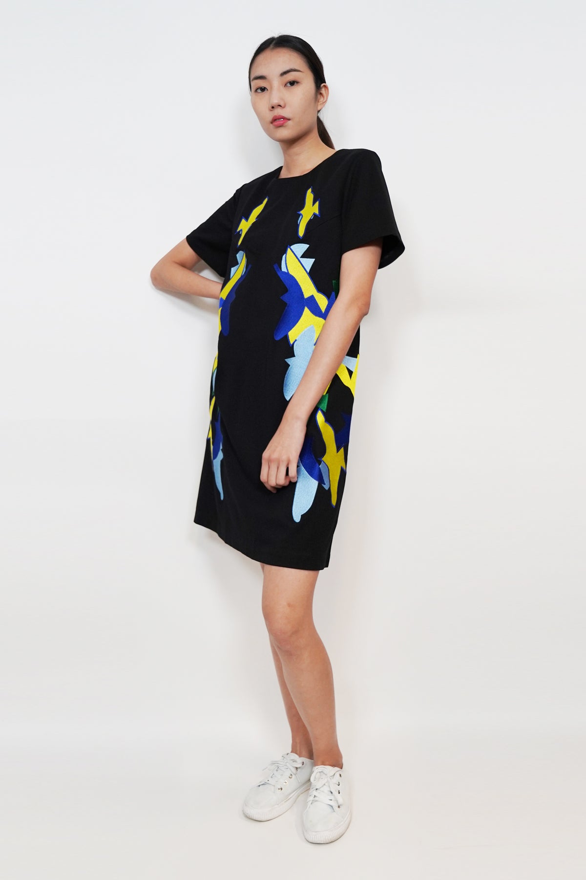 Geometrical Birds Embroidery Dress