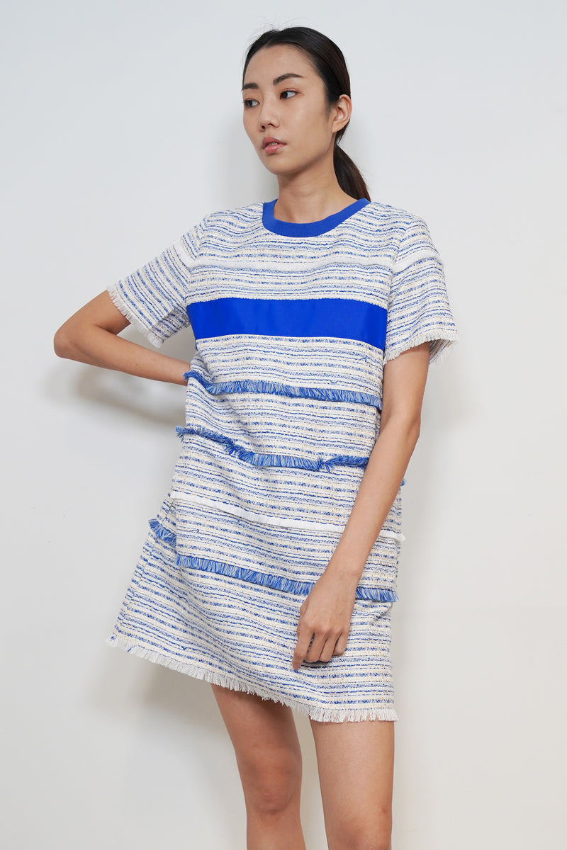Stripe Tweed Dress